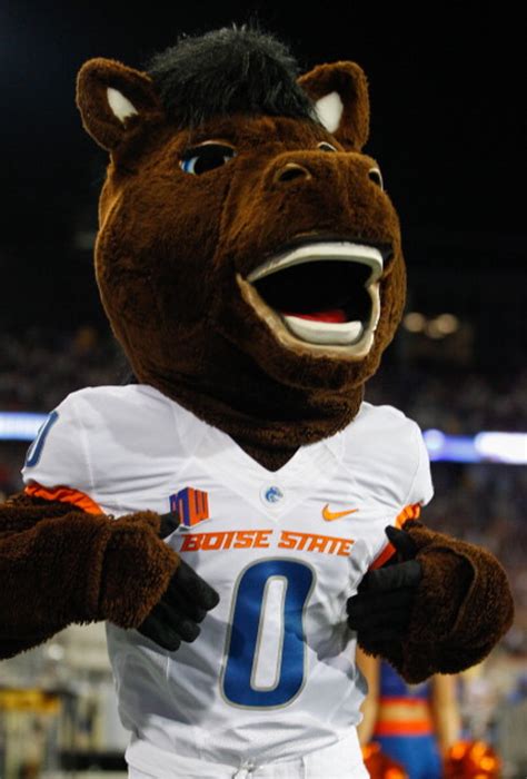 From the Sidelines to Center Stage: The Impact of the Boise Mascot